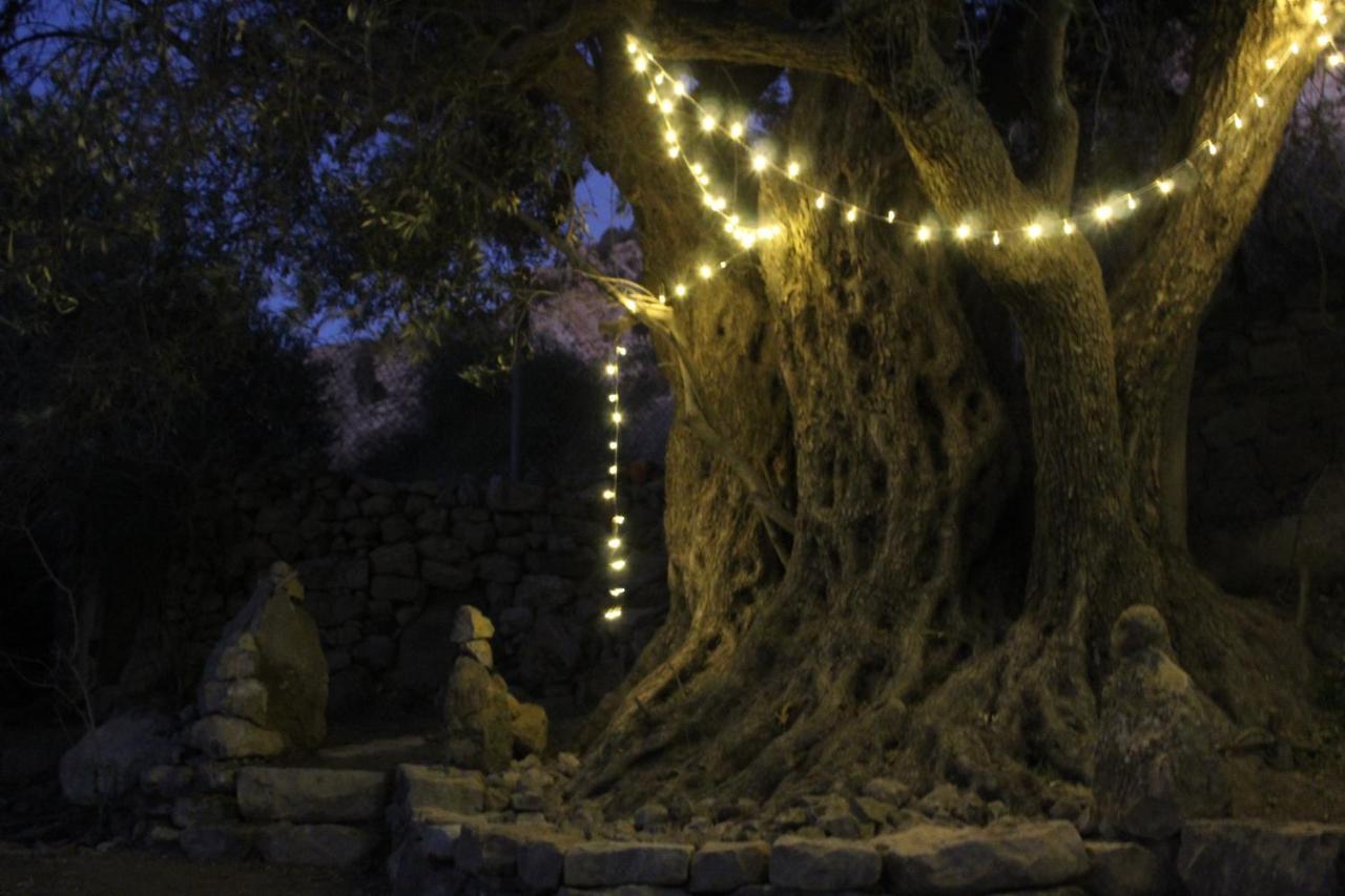 דנה Hobbit Village מראה חיצוני תמונה