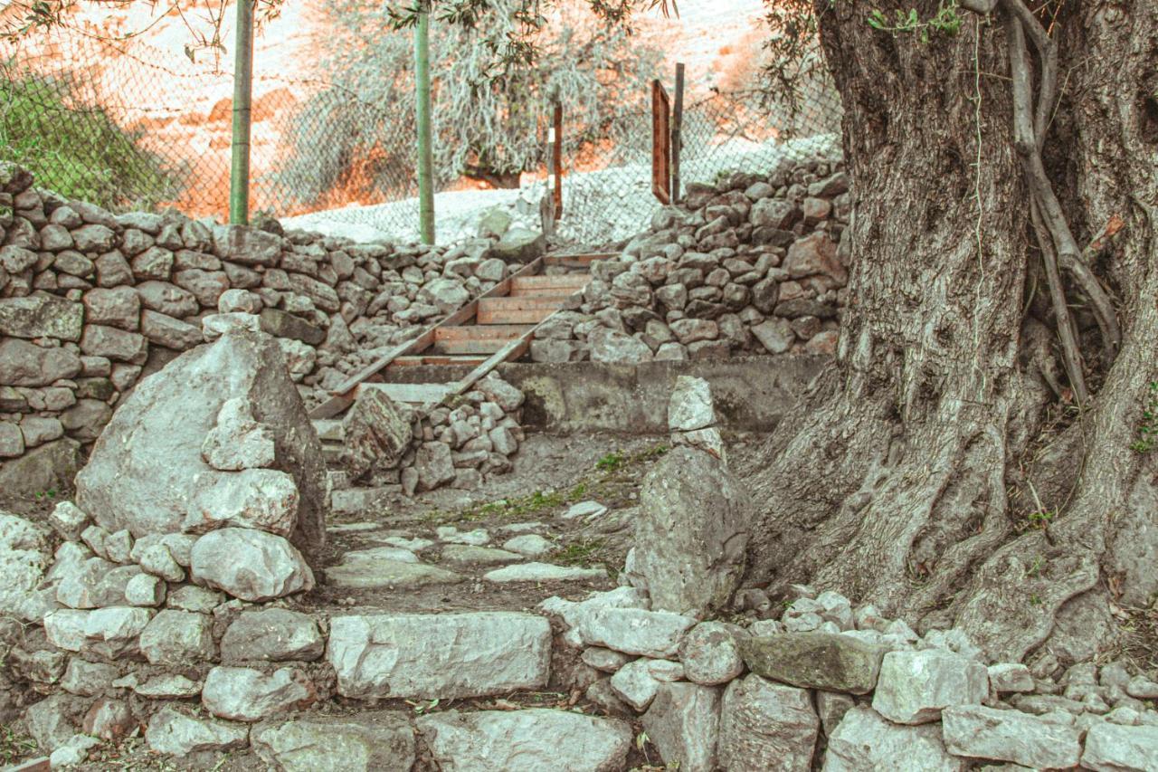 דנה Hobbit Village מראה חיצוני תמונה