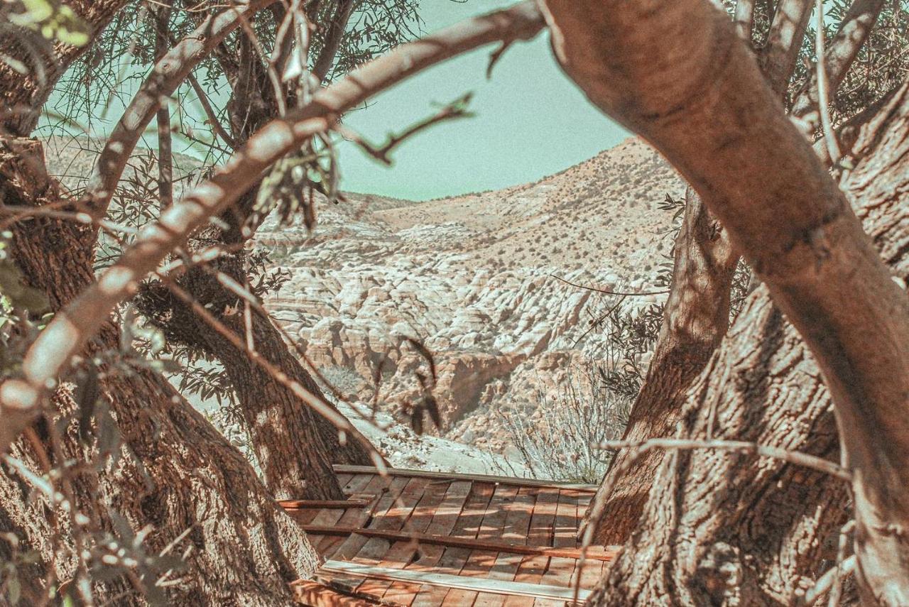 דנה Hobbit Village מראה חיצוני תמונה