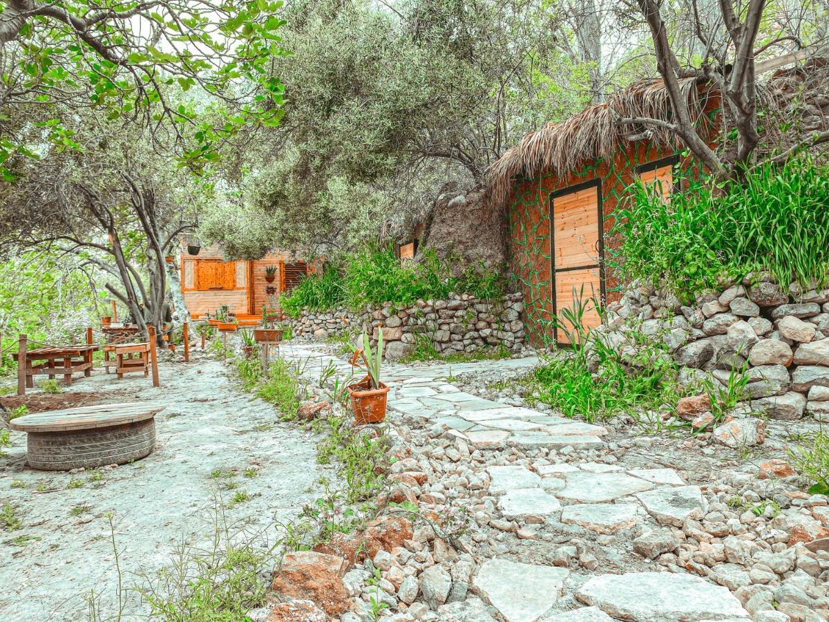 דנה Hobbit Village מראה חיצוני תמונה